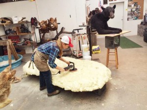 Sider-TXT - rock creation with taxidermy mount-photo 1